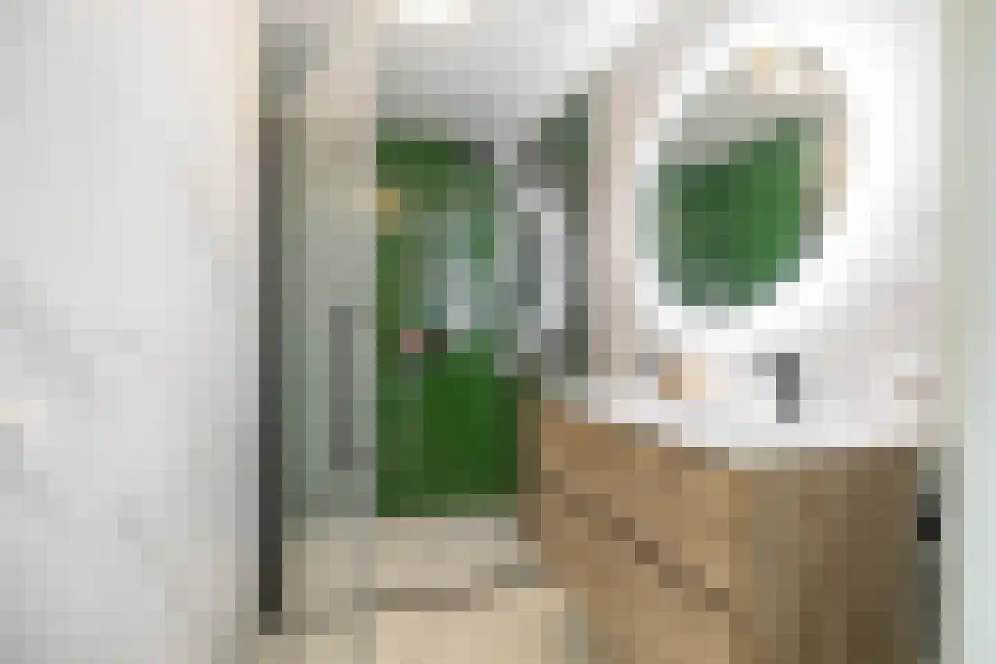 Van Schendelstraat 1 16 Groningen thumbnail 25