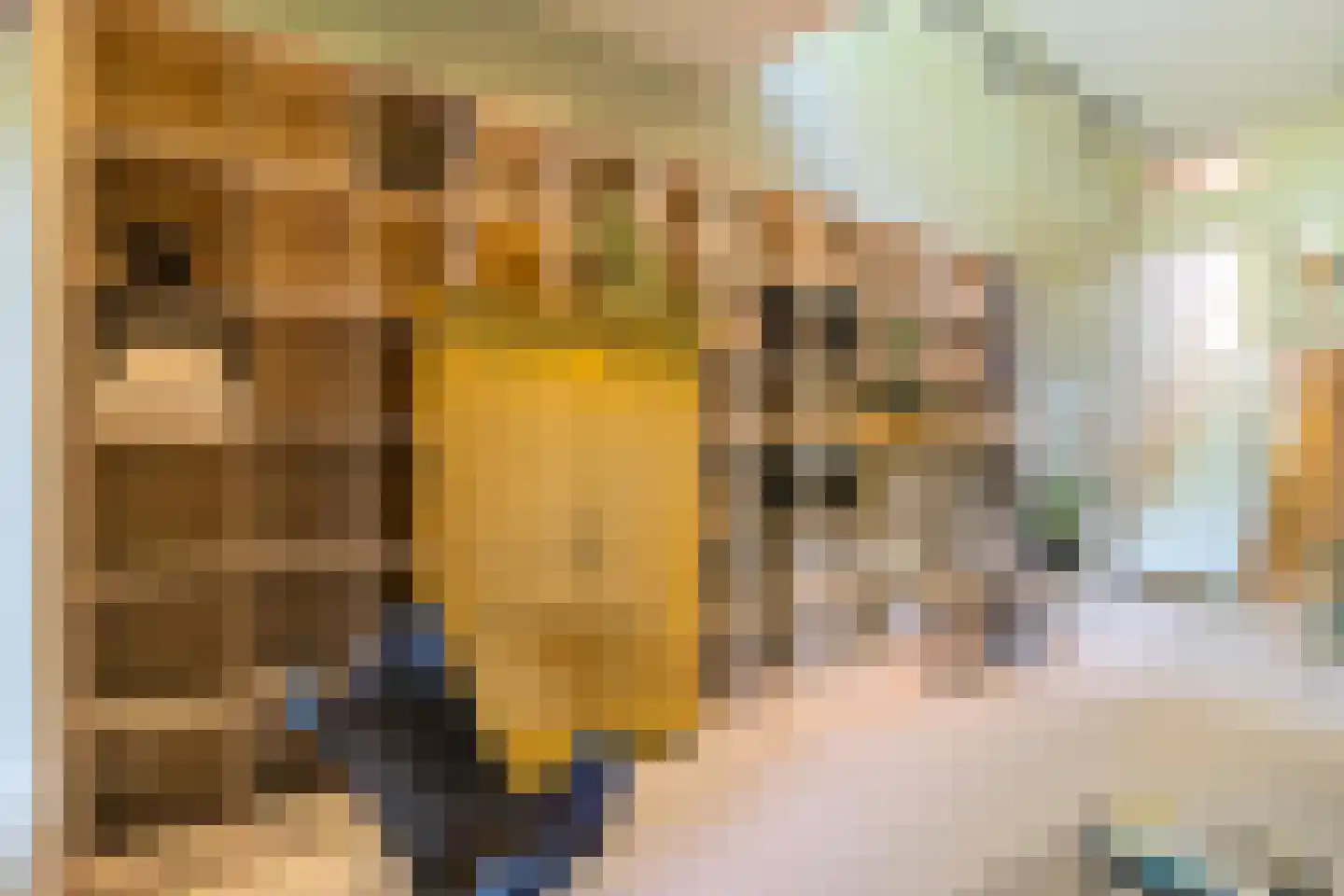 Van Schendelstraat 1 17 Groningen thumbnail 14