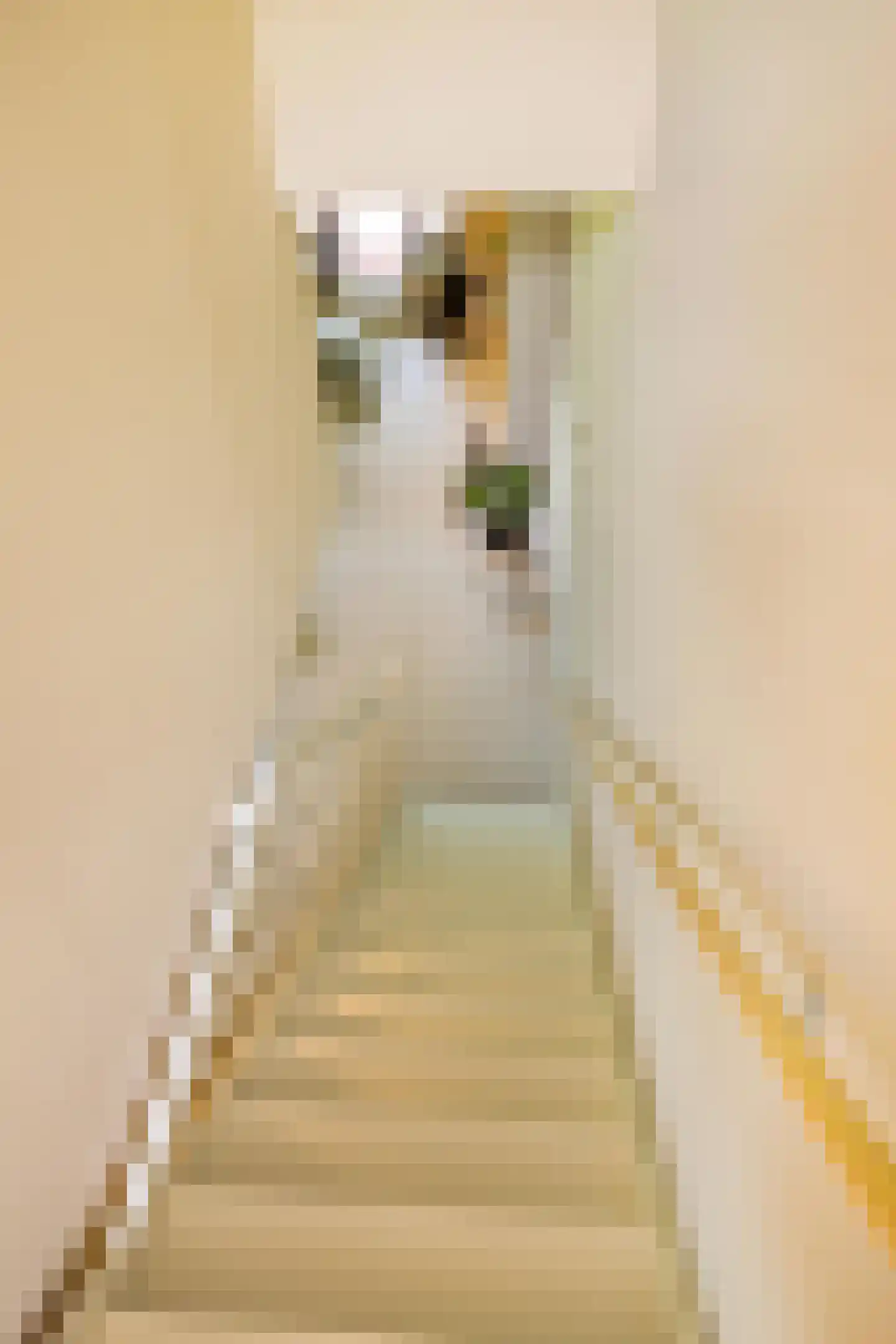 Van Schendelstraat 1 17 Groningen thumbnail 23