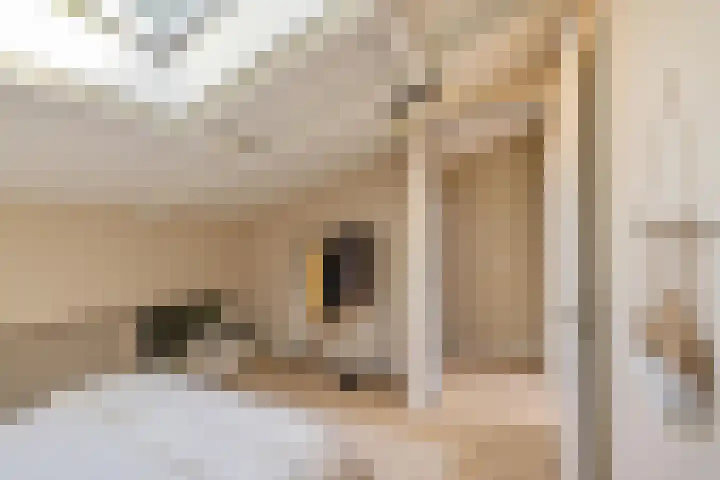 Van Schendelstraat 1 17 Groningen thumbnail 25