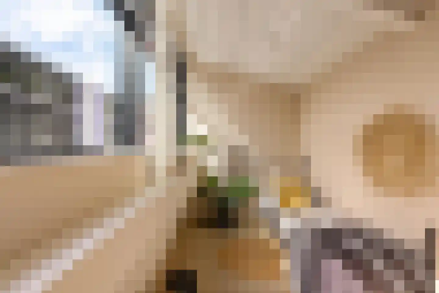 Van Schendelstraat 1 17 Groningen thumbnail 27