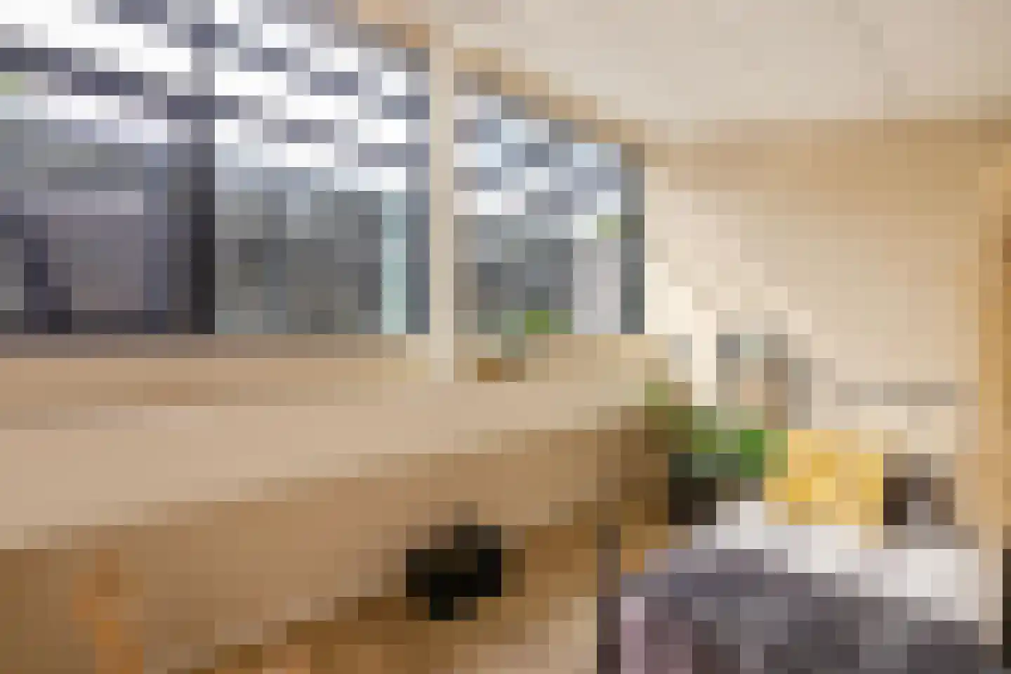 Van Schendelstraat 1 17 Groningen thumbnail 28