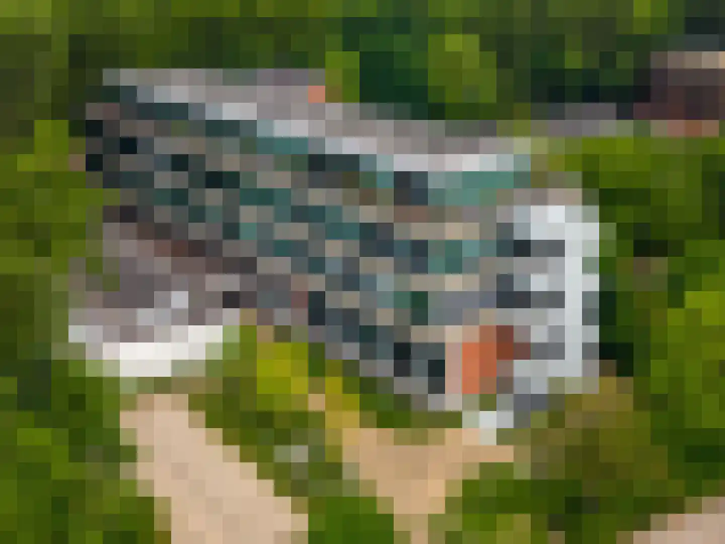 Van Schendelstraat 1 17 Groningen thumbnail 4