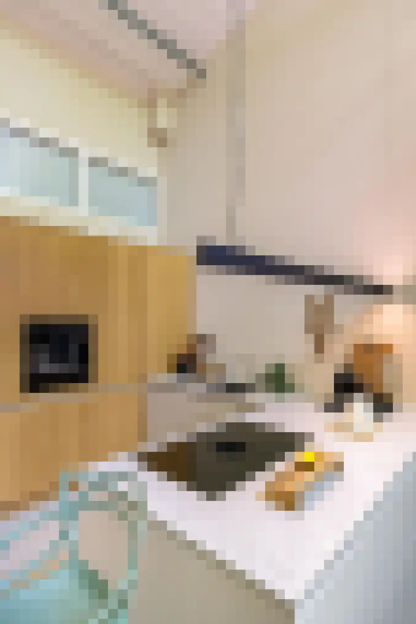 Van Schendelstraat 1 17 Groningen thumbnail 8