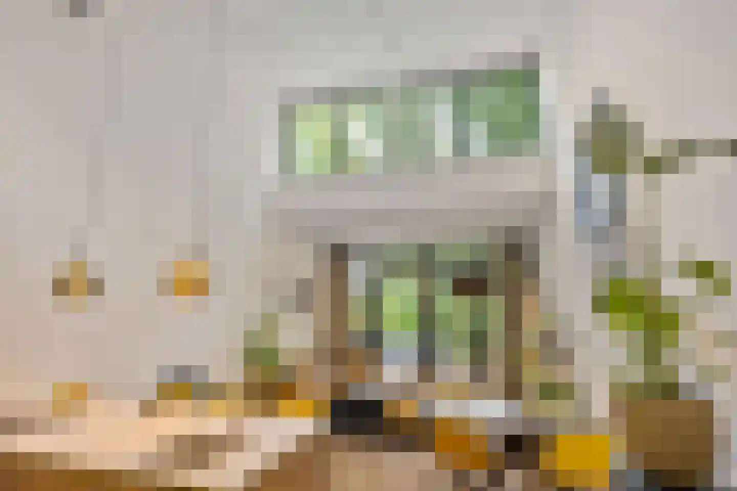 Van Schendelstraat 1 21 Groningen thumbnail 11