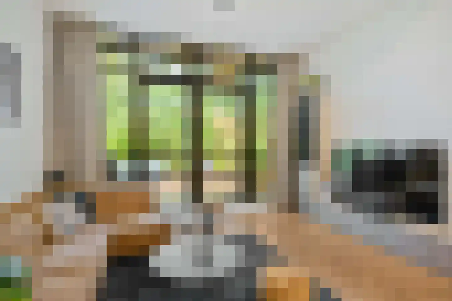 Van Schendelstraat 1 21 Groningen thumbnail 12