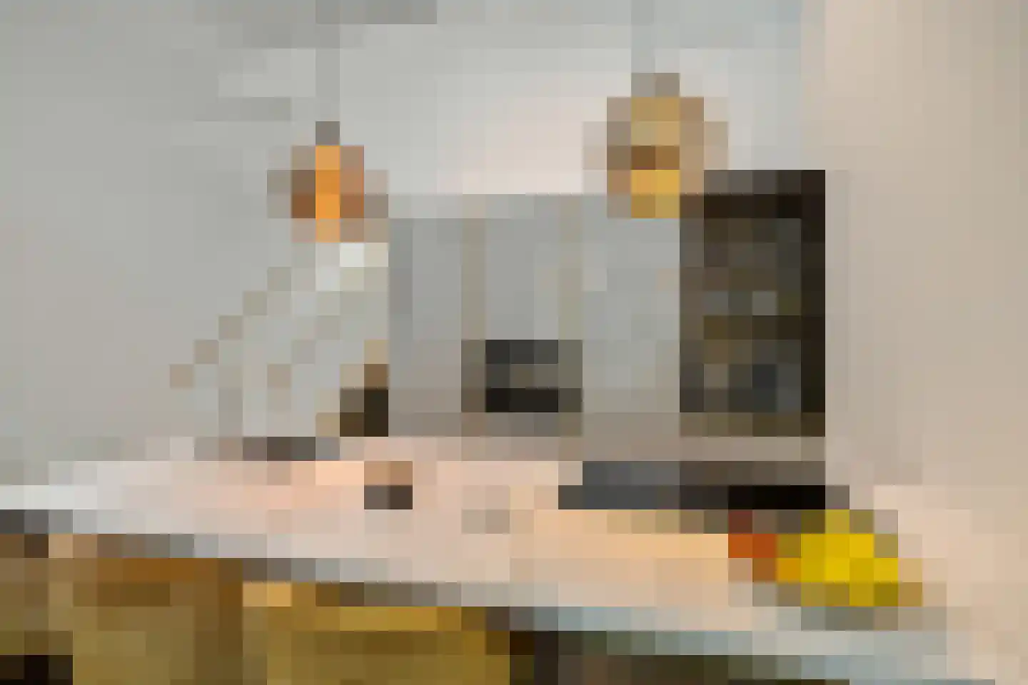 Van Schendelstraat 1 21 Groningen thumbnail 27