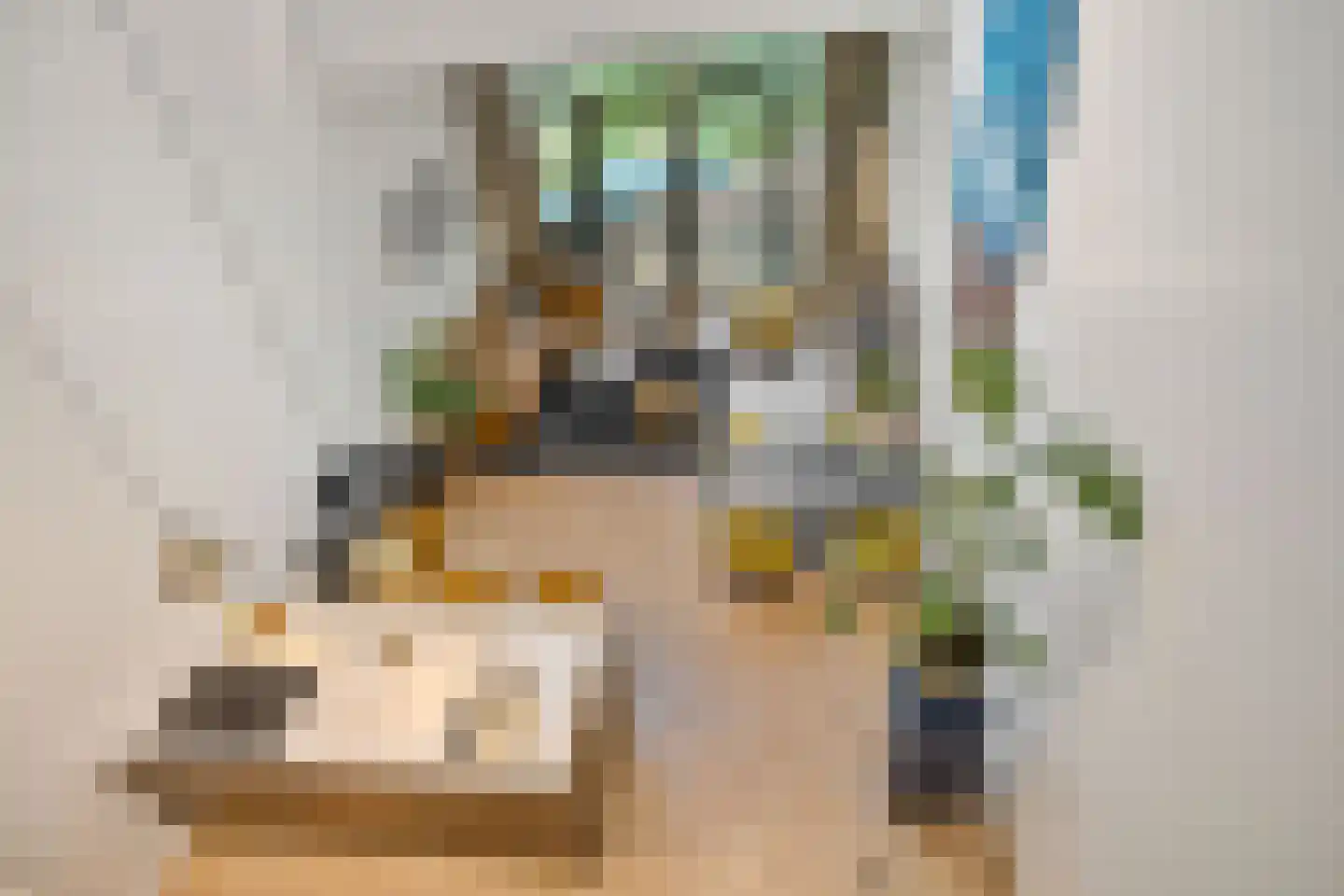 Van Schendelstraat 1 21 Groningen thumbnail 43