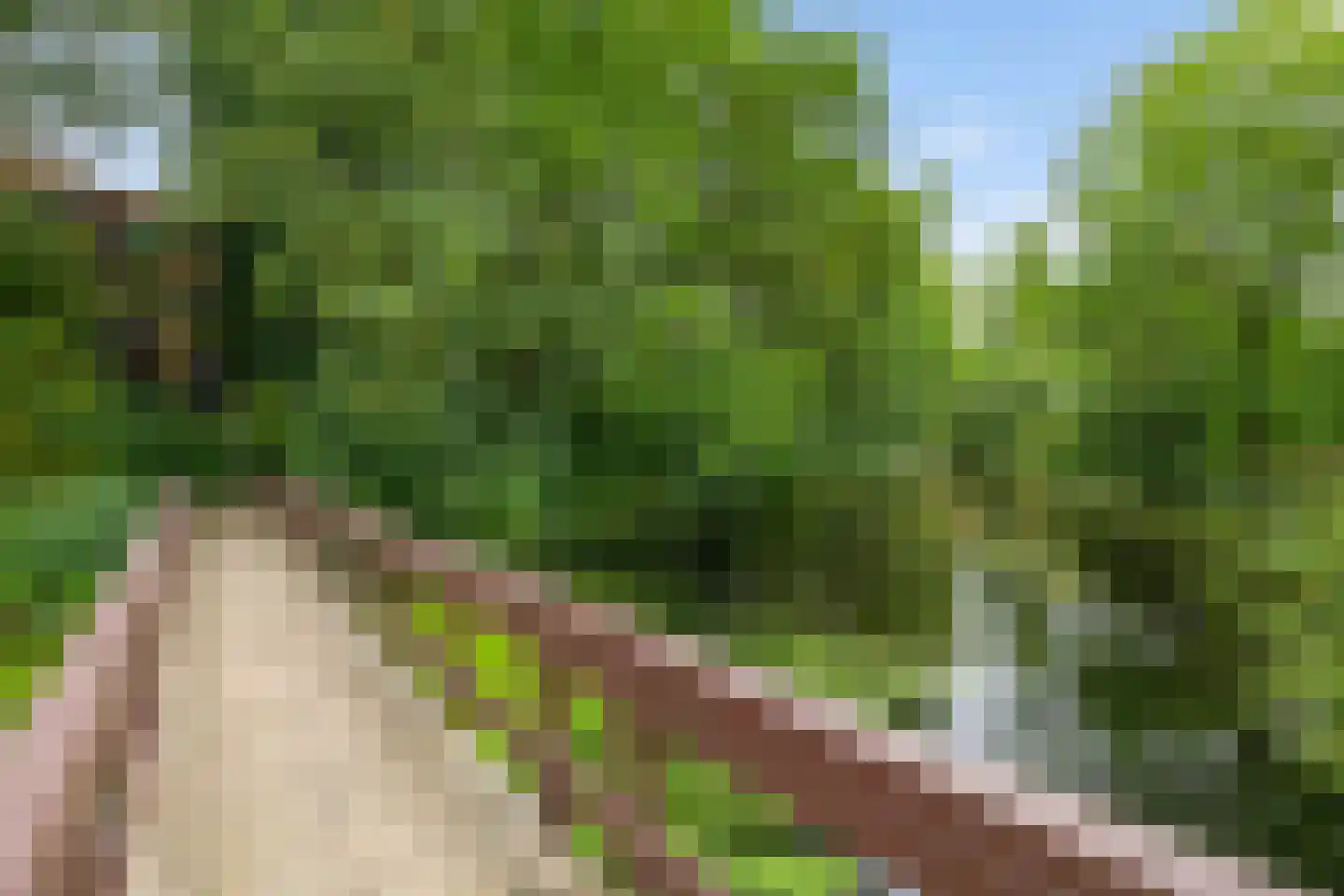 Van Schendelstraat 1 21 Groningen thumbnail 52