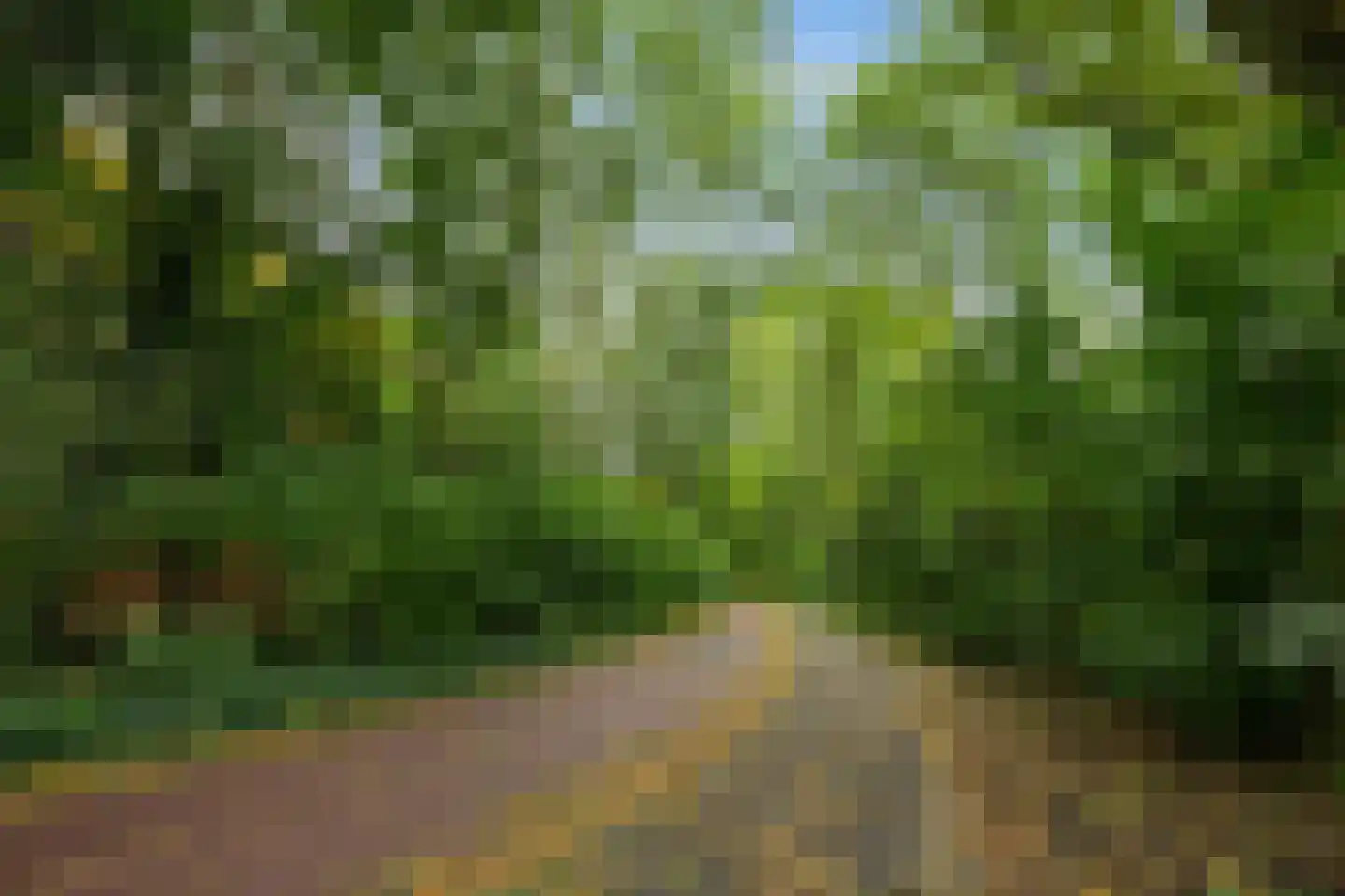 Van Schendelstraat 1 21 Groningen thumbnail 54