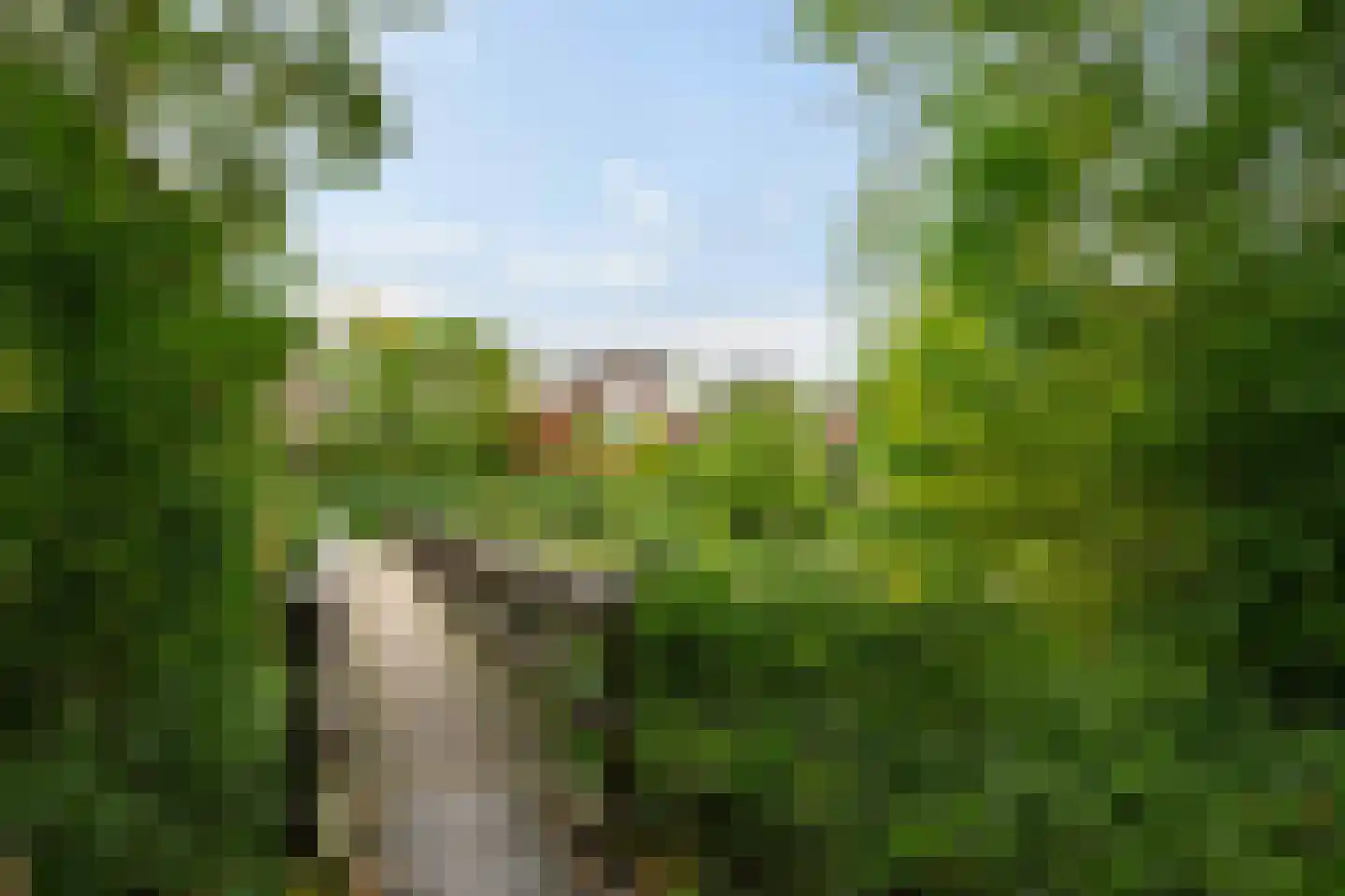 Van Schendelstraat 1 21 Groningen thumbnail 55