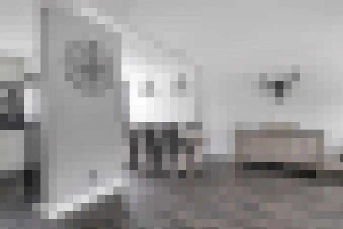 Van Schendelstraat 11 Etten-Leur thumbnail 10