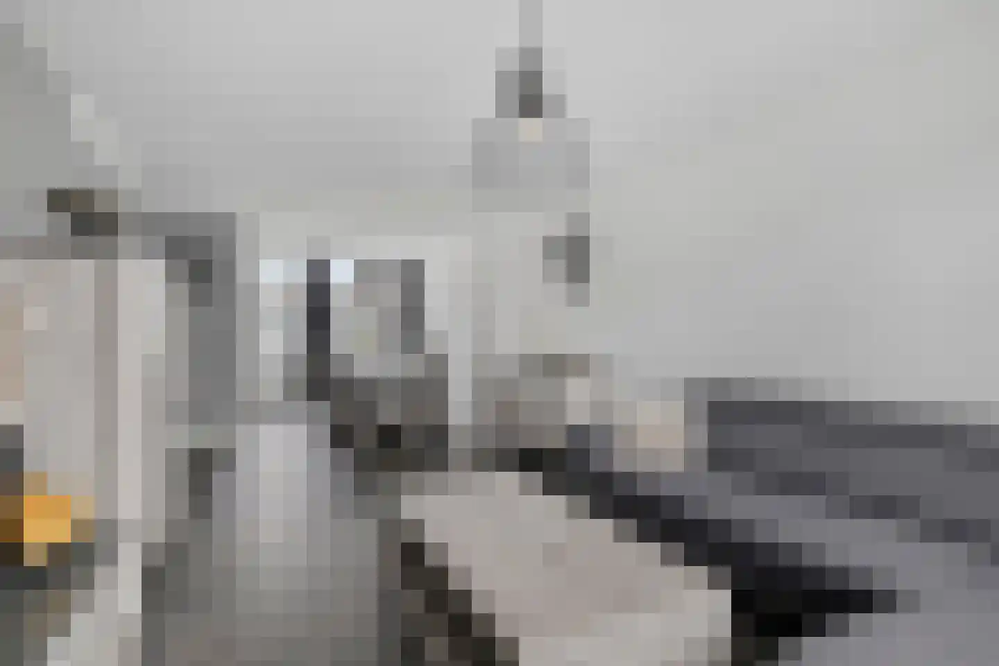 Van Schendelstraat 11 Etten-Leur thumbnail 6