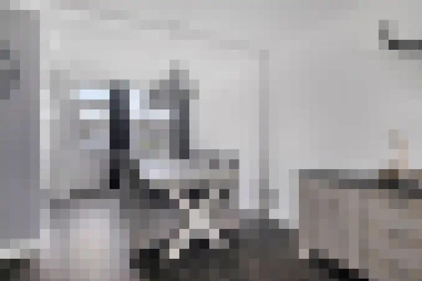 Van Schendelstraat 11 Etten-Leur thumbnail 9