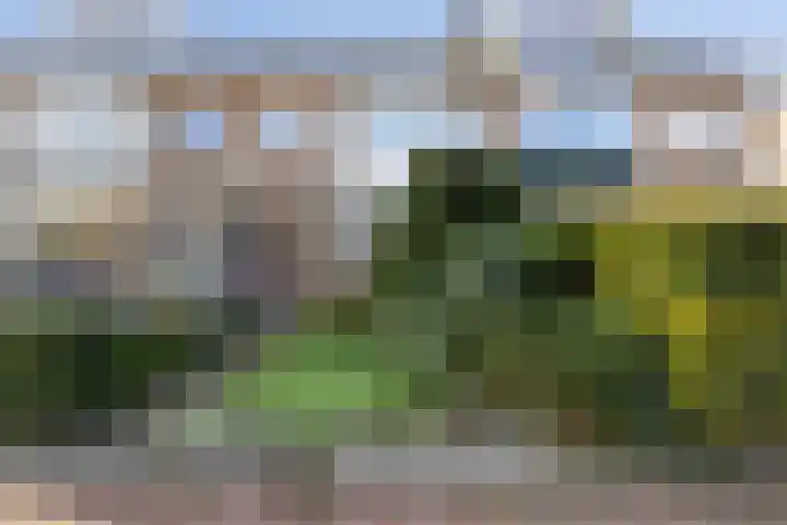 Van Schendelstraat 15 Dordrecht thumbnail 33