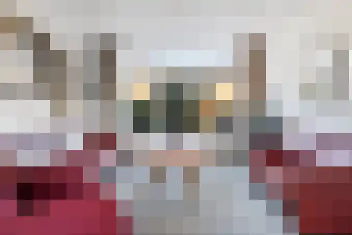 Van Schendelstraat 15 Dordrecht thumbnail 9