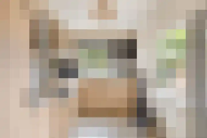 Van Schendelstraat 15 Wagenberg thumbnail 10