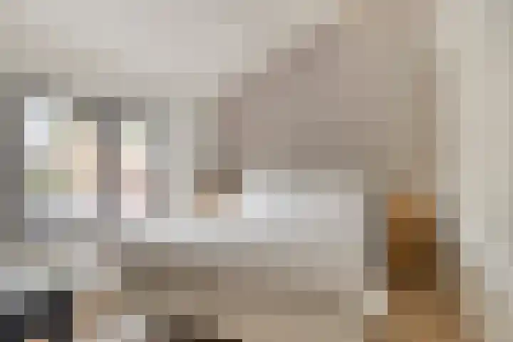 Van Schendelstraat 15 Wagenberg thumbnail 14