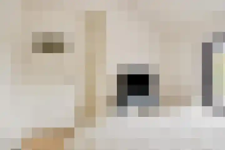 Van Schendelstraat 15 Wagenberg thumbnail 15
