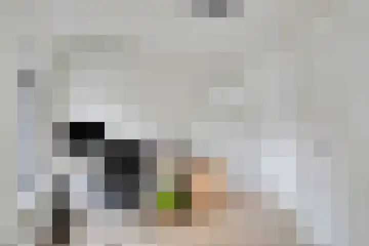 Van Schendelstraat 15 Wagenberg thumbnail 19