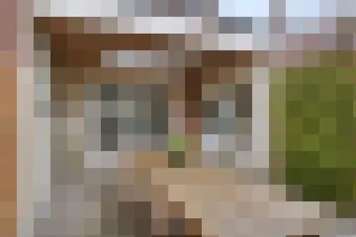 Van Schendelstraat 15 Wagenberg thumbnail 21
