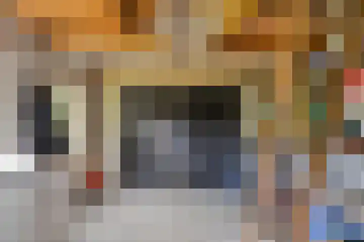 Van Schendelstraat 15 Wagenberg thumbnail 23