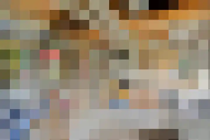 Van Schendelstraat 15 Wagenberg thumbnail 24