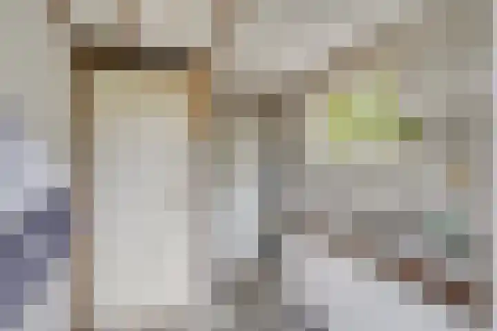 Van Schendelstraat 15 Wagenberg thumbnail 25
