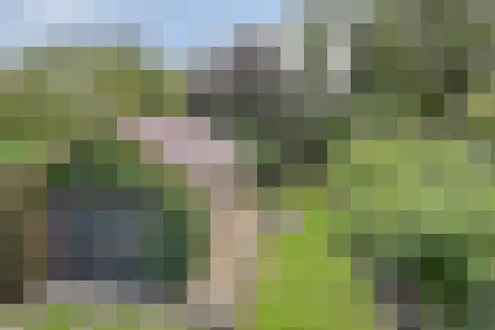 Van Schendelstraat 15 Wagenberg thumbnail 27