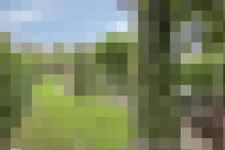 Van Schendelstraat 15 Wagenberg thumbnail 31