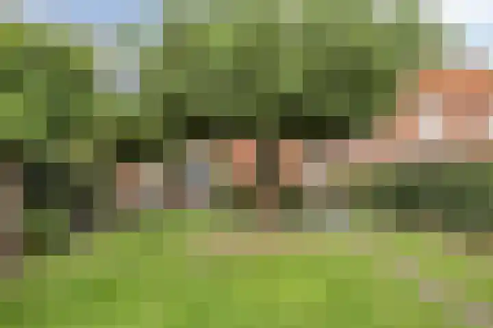 Van Schendelstraat 15 Wagenberg thumbnail 32