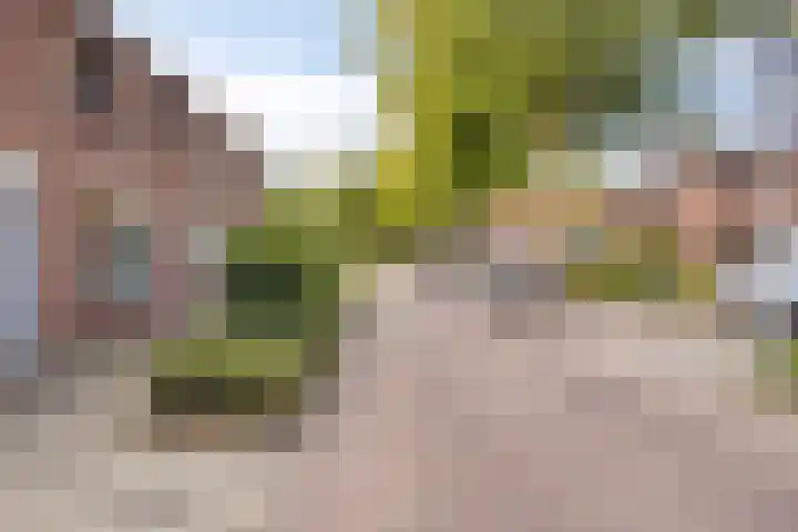 Van Schendelstraat 15 Wagenberg thumbnail 34