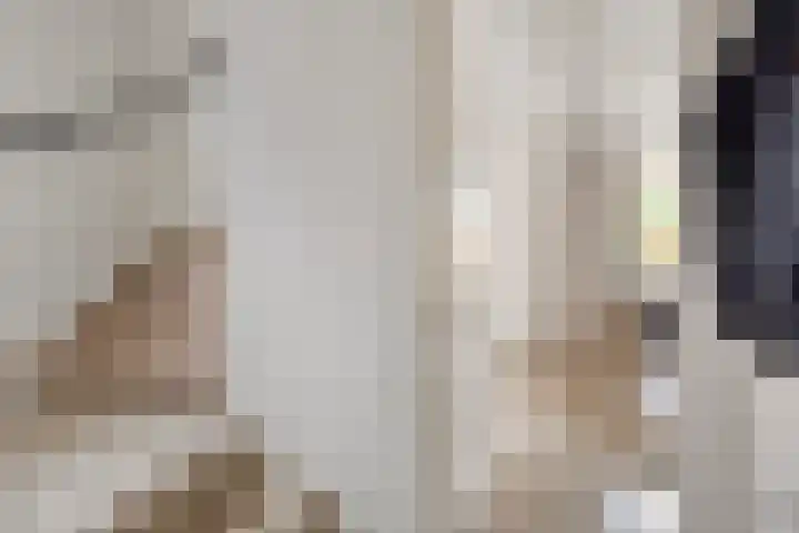 Van Schendelstraat 15 Wagenberg thumbnail 4