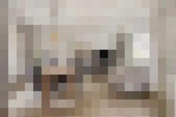 Van Schendelstraat 15 Wagenberg thumbnail 6