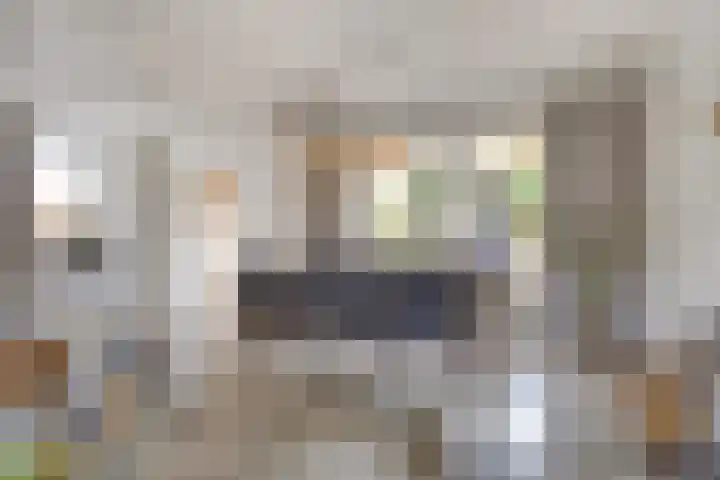 Van Schendelstraat 15 Wagenberg thumbnail 8