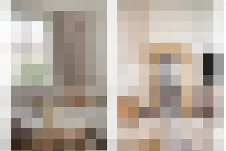 Van Schendelstraat 15 Wagenberg thumbnail 9