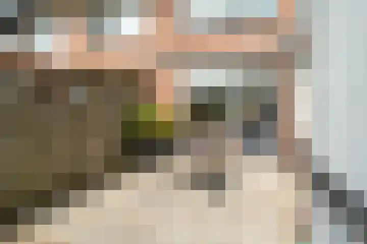 Van Schendelstraat 18 Harderwijk thumbnail 38