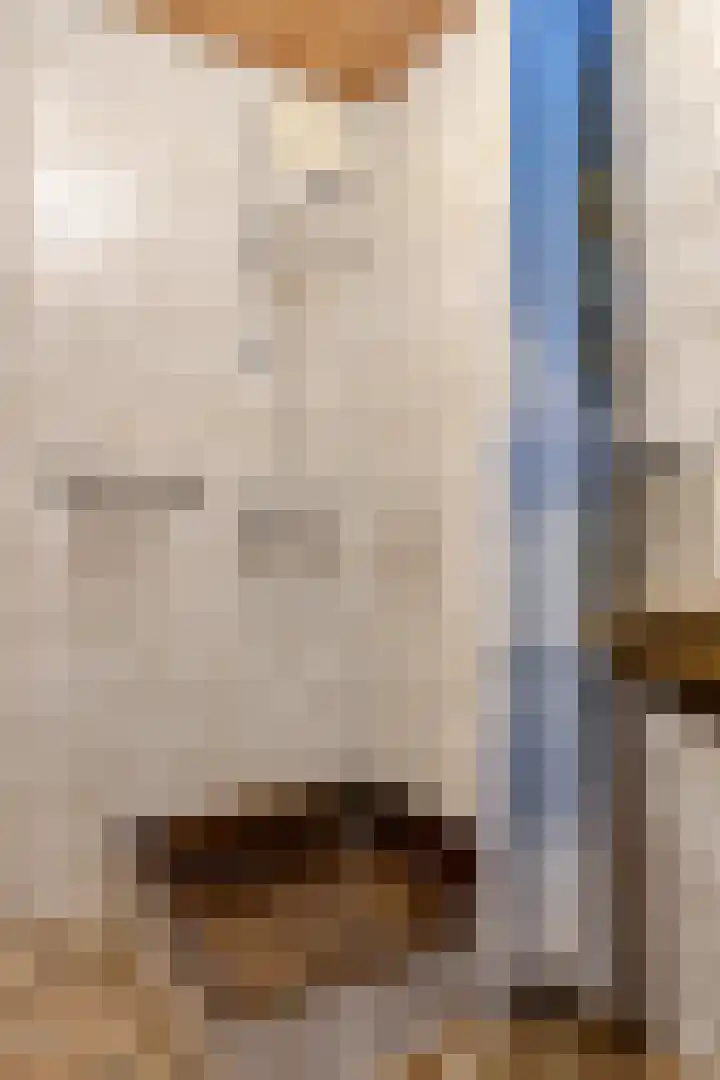Van Schendelstraat 20 Etten-Leur thumbnail 27