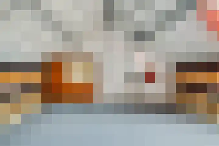 Van Schendelstraat 20 Etten-Leur thumbnail 34