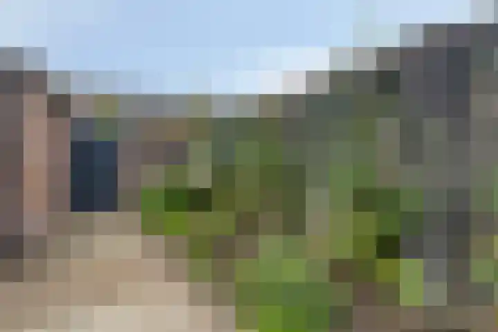 Van Schendelstraat 20 Etten-Leur thumbnail 40