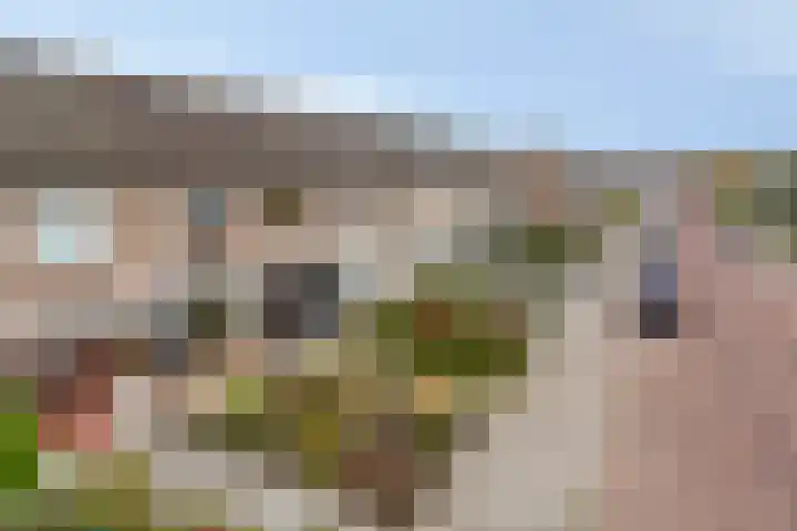 Van Schendelstraat 20 Etten-Leur thumbnail 43