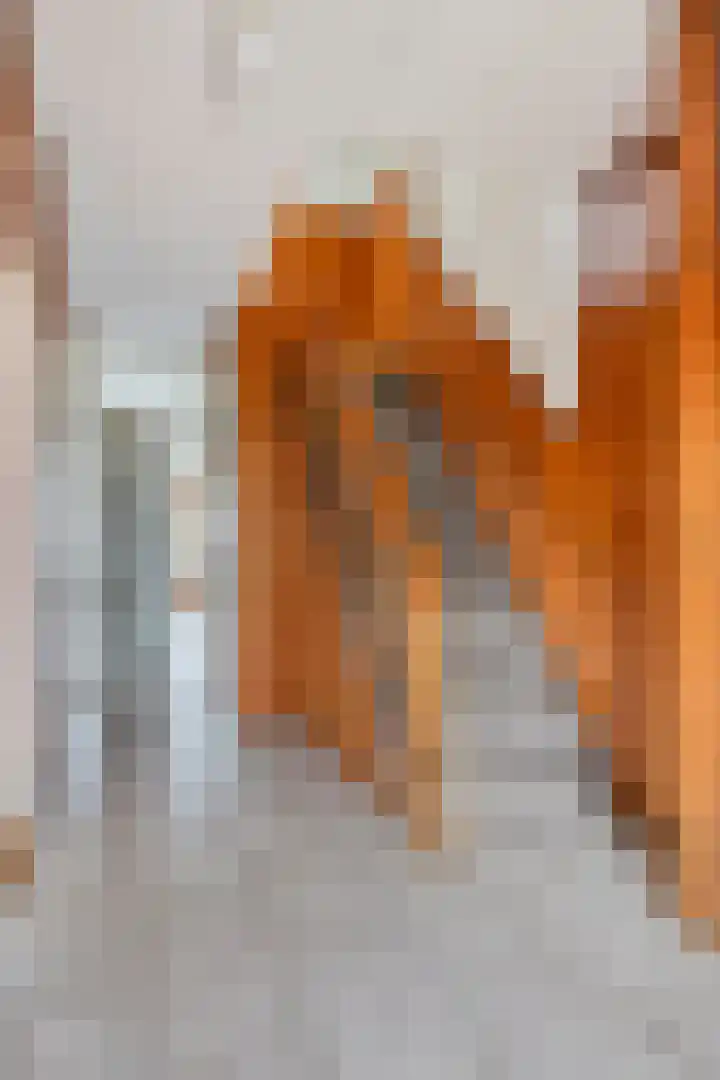 Van Schendelstraat 20 Etten-Leur thumbnail 6