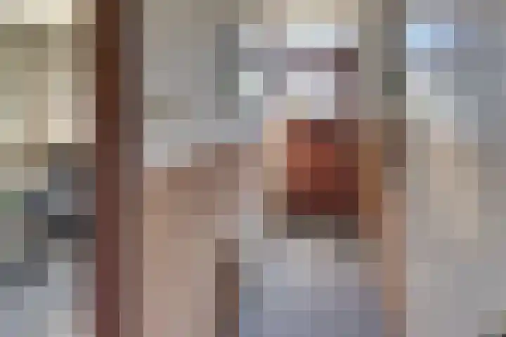 Van Schendelstraat 21 Harderwijk thumbnail 11