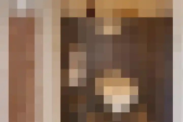 Van Schendelstraat 21 Harderwijk thumbnail 12