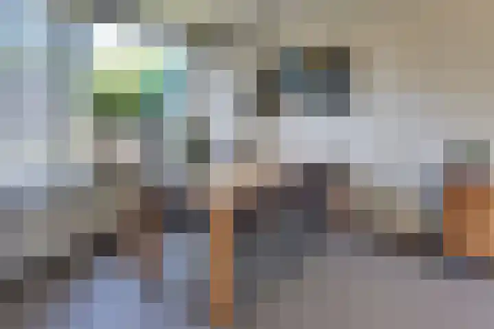 Van Schendelstraat 21 Harderwijk thumbnail 17