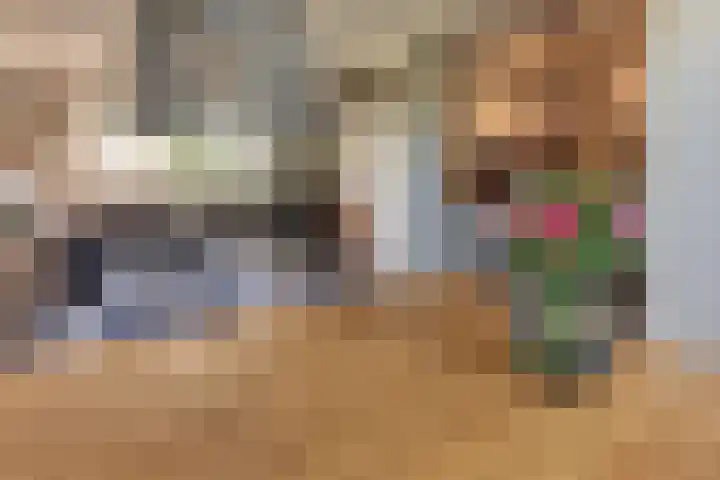 Van Schendelstraat 21 Harderwijk thumbnail 22