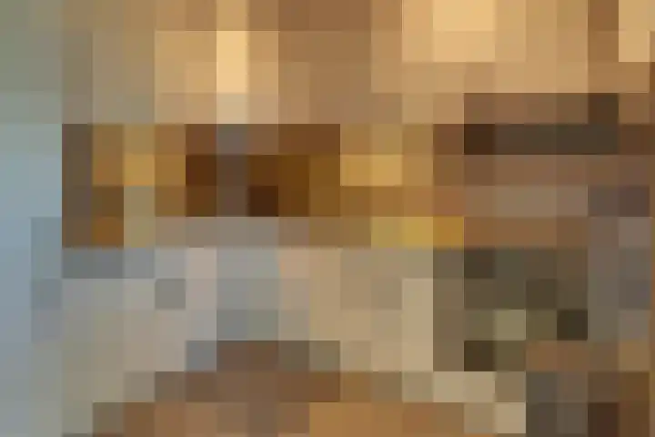 Van Schendelstraat 21 Harderwijk thumbnail 23