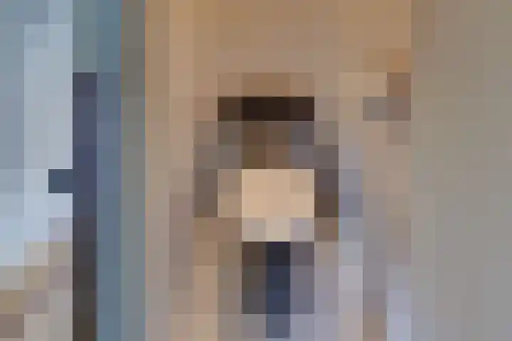 Van Schendelstraat 21 Harderwijk thumbnail 28