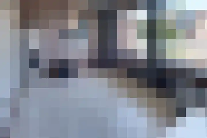 Van Schendelstraat 21 Harderwijk thumbnail 32