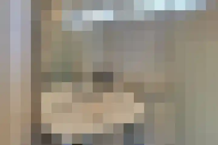Van Schendelstraat 21 Harderwijk thumbnail 36